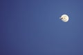 Airplane on background of the moon Royalty Free Stock Photo