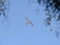 Airplane in blue sky Royalty Free Stock Photo