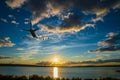 The airplane climbs, flying over the sea towards the sun at sunset Royalty Free Stock Photo