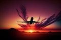 Airplane flies during sunset. AI Generated