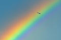 Airplane flight over rainbow after the storm in Bucharest Royalty Free Stock Photo