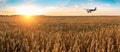 Airplane flying above the golden wheat field and blue sky with picturesque clouds. Beautiful summer landscape. Royalty Free Stock Photo