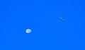 Airplane flying across the full moon in the blue sky during magic hour . Royalty Free Stock Photo