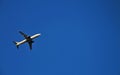 Airplane flying against blue sky Royalty Free Stock Photo