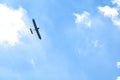 Airplane flying in the blue sky on background of white clouds, rear view. Twin-engine commercial plane during the turn, vacation Royalty Free Stock Photo