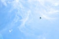 Airplane flying in the blue sky on background of white clouds, rear view. Twin-engine commercial plane during the turn, vacation Royalty Free Stock Photo