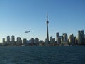 Airplane flying over Downtown Toronto Ontario Canada skyline view from Lake Ontario Royalty Free Stock Photo