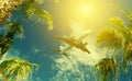 Airplane flying over tropical palm tree and sunset sky abstract background. Copy space of business summer vacation and Royalty Free Stock Photo