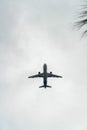 Airplane flying overhead with small palm tree leaves in gray cloudy stormy skies in urban or suburban setting