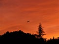 Airplane Flying into the Pink/Orange Sunset