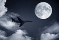 Airplane and a full moon Royalty Free Stock Photo