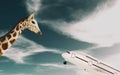 Giraffe and an airplane at high altitude .