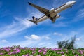 airplane landing with blue sky background over flowers field at Phuket airport, Thailand Royalty Free Stock Photo