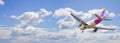 Airplane landing - concept image on panoramic cloudy sky Royalty Free Stock Photo