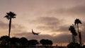 Airplane landing in LAX airport at sunset, Los Angeles, California USA. Passenger flight or cargo plane silhouette, dramatic