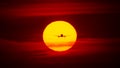 Airplane landing or takeoff in the sunset with red sky in Bucharest international airport , Plain spotting Royalty Free Stock Photo