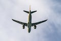 Airplane lands on runway, plane arrives at airport Royalty Free Stock Photo