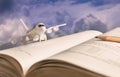 Airplane model on textbook or hardback. The concept of tourism