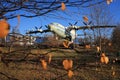 Airplane-monument AN-12 near the airport.