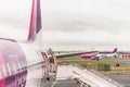 Airplane near the terminal gate ready for takeoff.