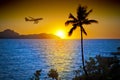 Airplane Ocean Palm Tree Tropical Sunset Royalty Free Stock Photo