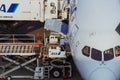 Airplane parking at Tokyo international airport Royalty Free Stock Photo