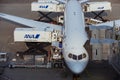 Airplane parking at Tokyo international airport Royalty Free Stock Photo