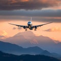 The airplane rumbled down the runway, picking up speed, before gracefully ascending into the heavens above, leaving the airport