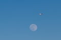 An airplane is taking off during the moonrise in the blue sky