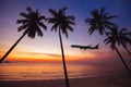 Airplane taking off at sunset, holidays on tropical island concept, flight
