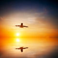 Airplane taking off at sunset Royalty Free Stock Photo