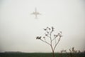 Airplane in thick fog Royalty Free Stock Photo