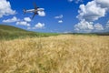 Airplane and wheat field Royalty Free Stock Photo