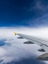 Airplane windows view above the earth on landmark down. View from an airplane window over a wing flying high above farmlands and Royalty Free Stock Photo