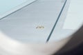 Airplane wing detail