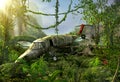 Airplane wreck in the jungle - crash site Royalty Free Stock Photo