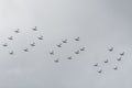 Airplanes formation exhibition militar airforce Royalty Free Stock Photo