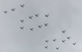 Wwii  old Airplanes formation exhibition Royalty Free Stock Photo