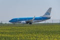 Airport Prague Ruzyne-LKPR, Boeing 737 KLM