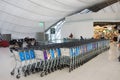 Airport trolley parking lot with empty trolleys waiting use service Royalty Free Stock Photo