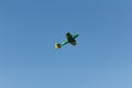 Airshow plane, airplane and sport aviation, event
