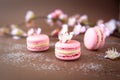 Airy and delicious tasteful rose and vanilla Macarons with buds of roses