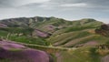 An airy landscape with green hills and purple lavender fields. A picturesque view panorama with a mountainous valley, a Royalty Free Stock Photo