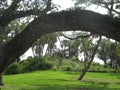 Ais Indian Burial Mound Royalty Free Stock Photo