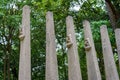 An aisle with star emblems next to the Brotherhood in arms monument in the Cytadela park, Poznan, Poland