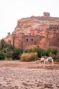 Ait Benhaddou fortress town close to Ouarzazate in Morocco Royalty Free Stock Photo