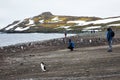 A group of tourist watching the wildlife amidst a breeding colony of gentoo penguins Pygoscelis papua, Antarctica