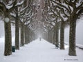 Aix-les-Bains en hiver