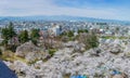 Aizu-Wakamatsu city and cherry blossom season.
