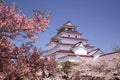 Aizuwakamatsu Castle and cherry blossom Royalty Free Stock Photo